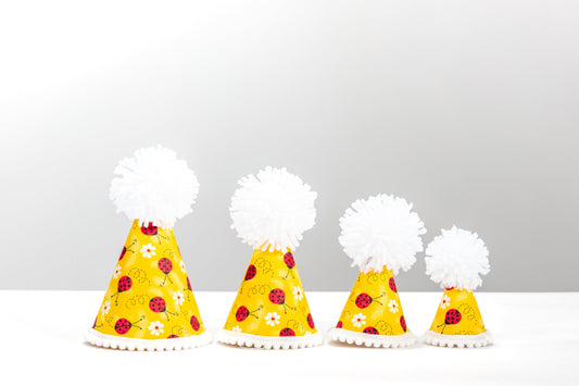 Lucky Ladybug Party Hat