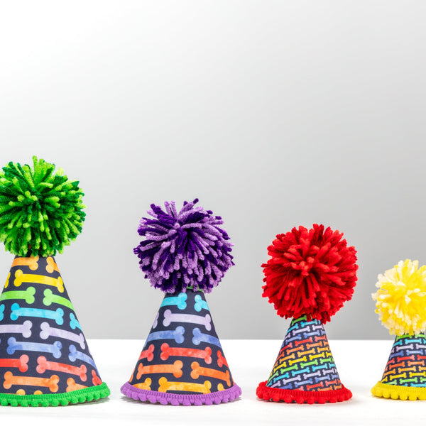 Rainbow Bones Party Hat