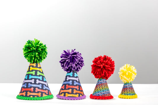 Rainbow Bones Party Hat