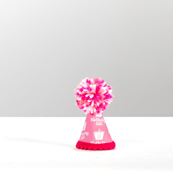 Birthday Girl Pink Ink Party Hat