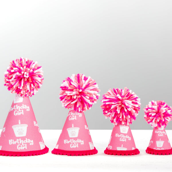Birthday Girl Pink Ink Party Hat