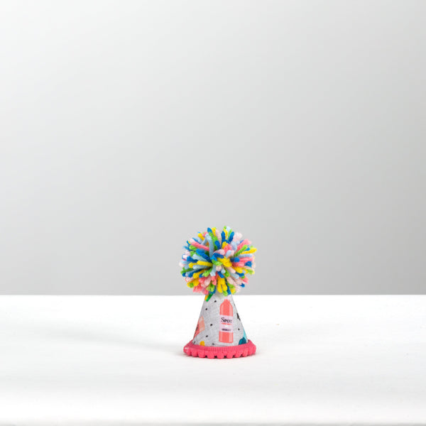 Mutt Mixer Party Hat