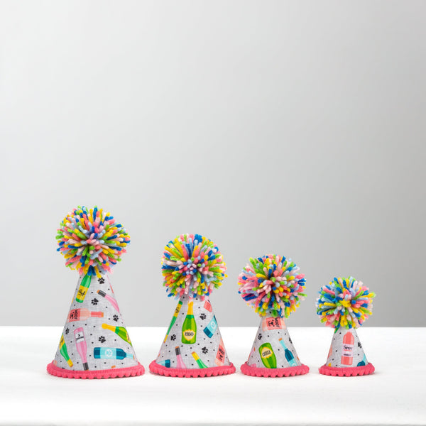 Mutt Mixer Party Hat