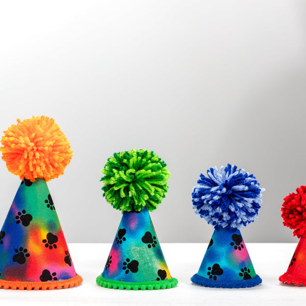 Watercolor Paws Party Hat