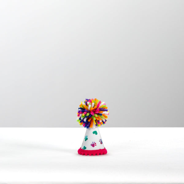 Rainbow Paws Party Hat