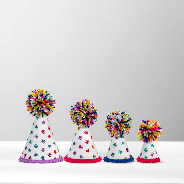 Rainbow Paws Party Hat