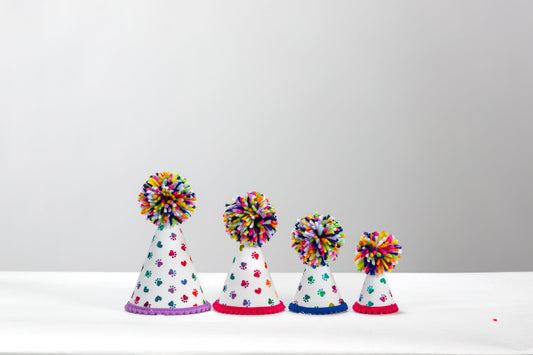 Rainbow Paws Party Hat