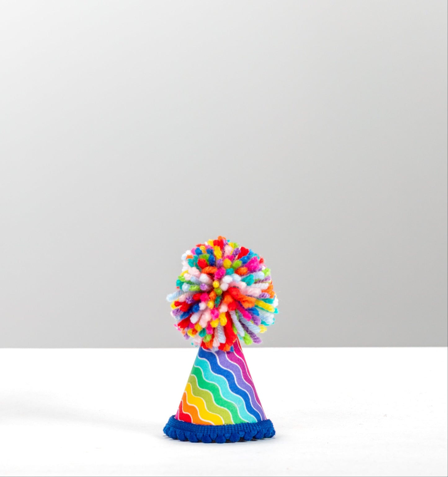 Zippy Paws Party Hat