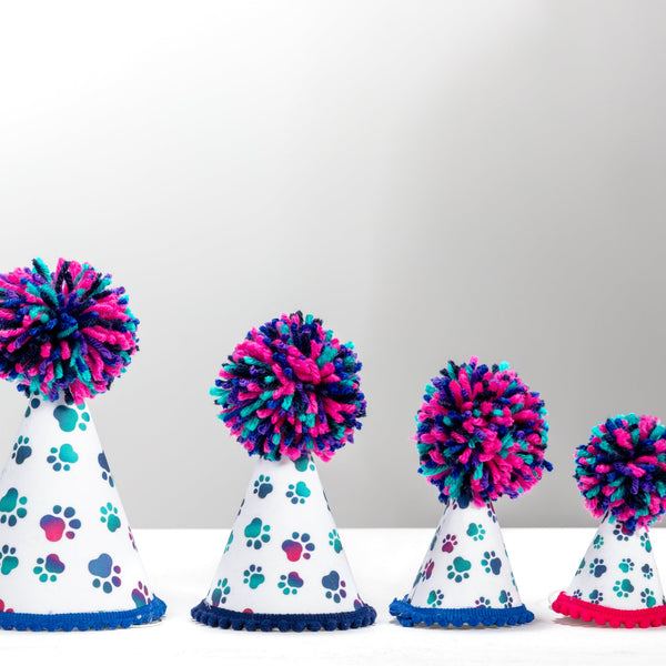 Jewel Paws Party Hat