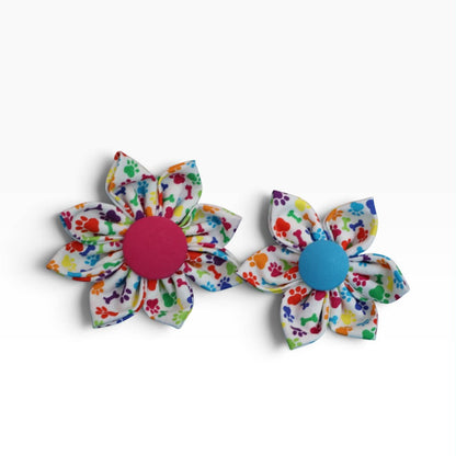 Rainbow Paws Collar Flower