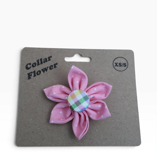 Pink Dots Collar Flower