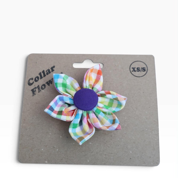 Gingham Collar Flower
