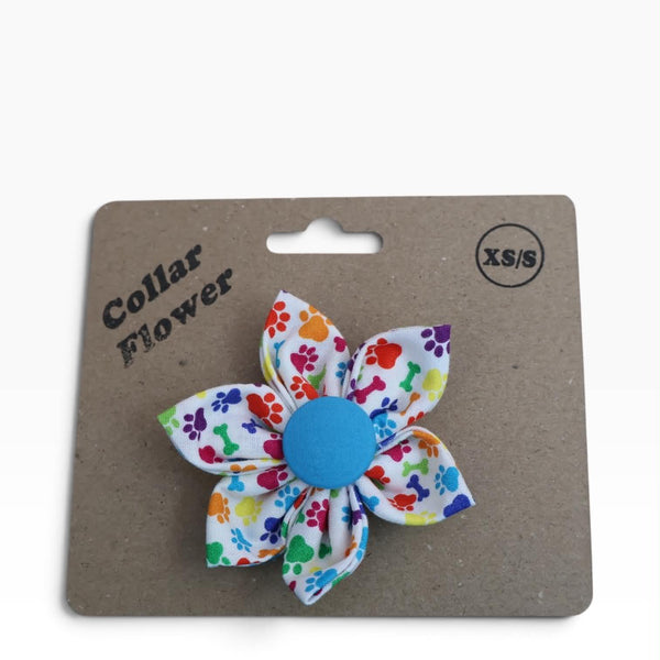 Rainbow Paws Collar Flower