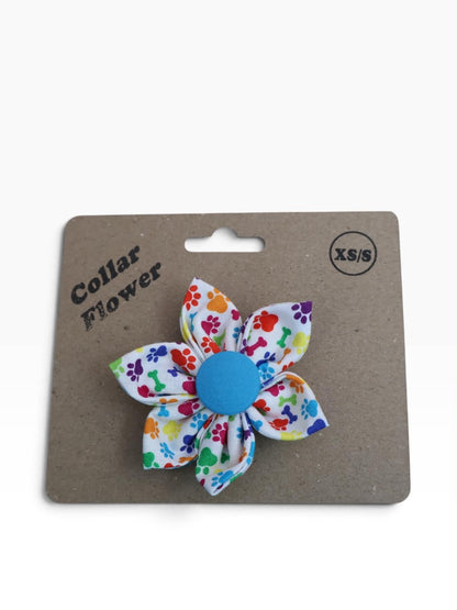 Rainbow Paws Collar Flower