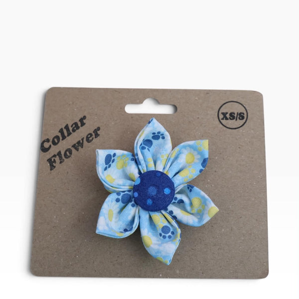 Daisy Collar Flower