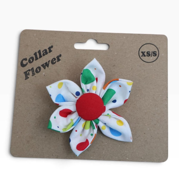 White Dots Collar Flower