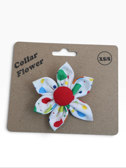 White Dots Collar Flower